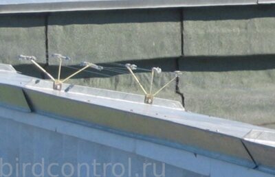 «Струна-растяжка»